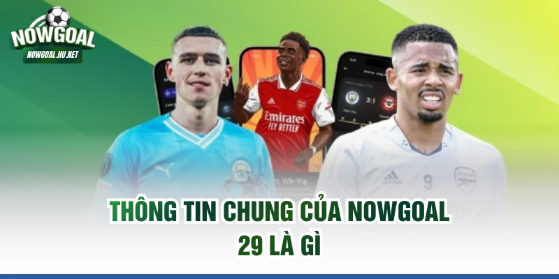 Thông tin chung của Nowgoal 29 là gì